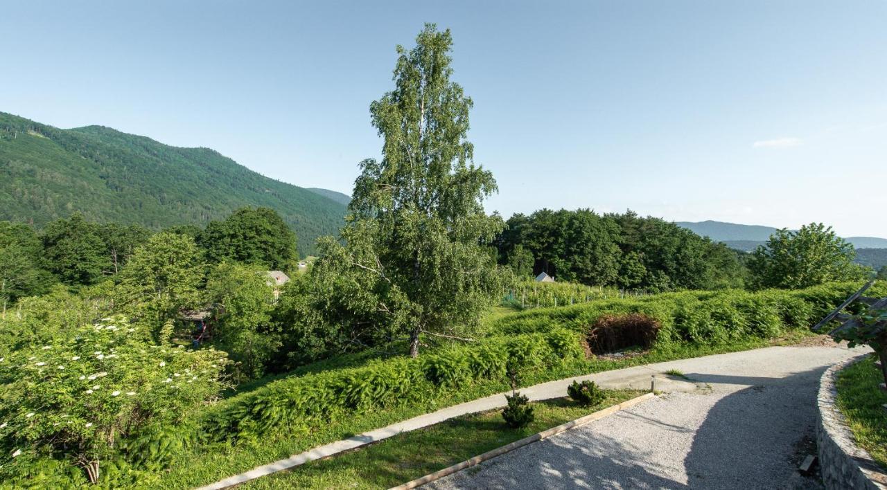 Ferienwohnung Zidan'Ca Rosel Dolenjske Toplice Exterior foto