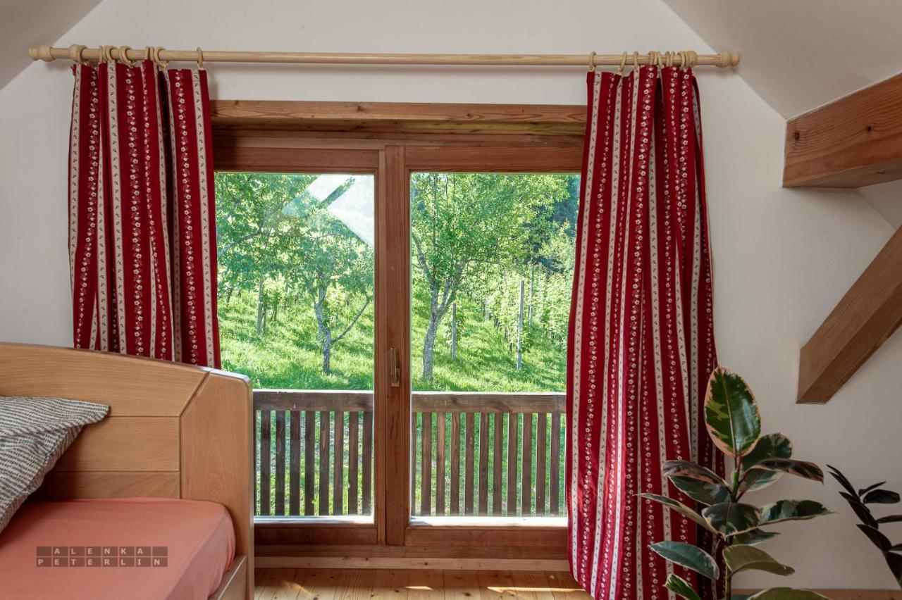 Ferienwohnung Zidan'Ca Rosel Dolenjske Toplice Exterior foto