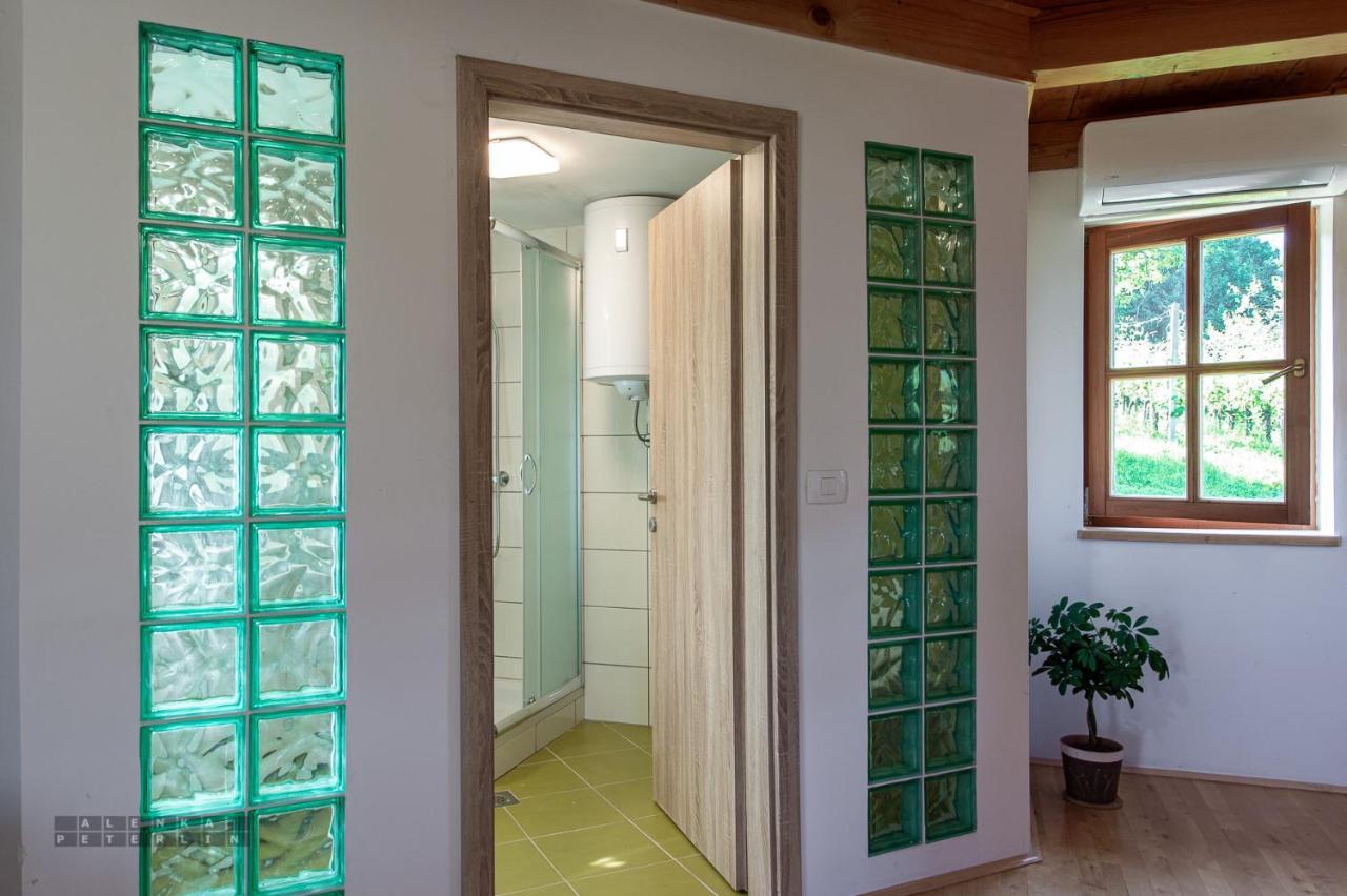 Ferienwohnung Zidan'Ca Rosel Dolenjske Toplice Exterior foto